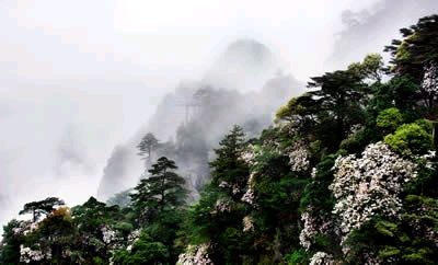 革命聖地—井岡山