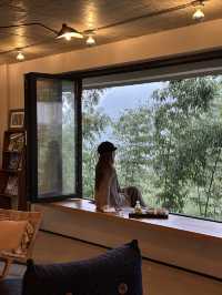 安吉民宿staycation｜來山裡和杉樹見一面