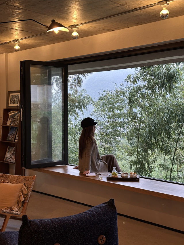 安吉民宿staycation｜來山裡和杉樹見一面