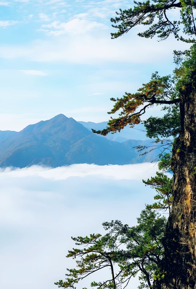 徒步愛好者天堂 | 穿越光霧山精華路段