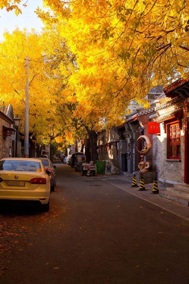 北京的秋天是中式美學的巔峰之作！！