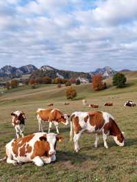 秘境秋色,賽罕烏拉遊攻略