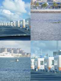 【情侶碼頭|在廣東這座海邊城市,找到了藏在陰雨天裡的浪漫秘境!】 必玩理由: 海灣大橋下的私藏浪