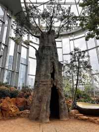 魔都慢生活圖鑑:世博文化公園的治癒時光