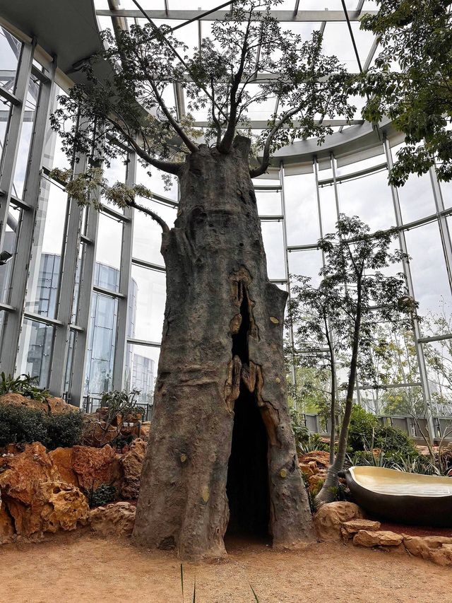 魔都慢生活圖鑑:世博文化公園的治癒時光 魔都慢生活圖鑑:世博文化公園的治癒時光