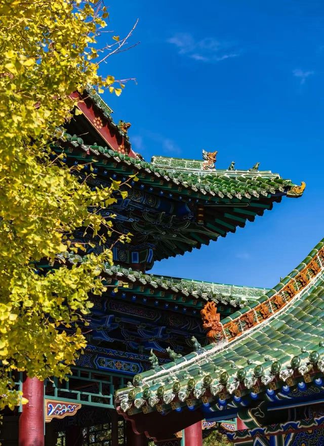 稷山酒店賓館是每位到稷山旅遊或出差的朋友都不容錯過的優質住宿 稷山酒店賓館是每位到稷山旅遊或出差的朋友都不容錯過的優質住宿