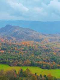 穿越掛壁公路，邂逅秦巴深山最絢爛的秋色