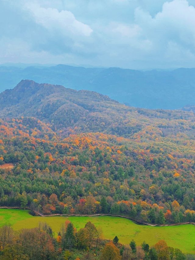 穿越掛壁公路，邂逅秦巴深山最絢爛的秋色