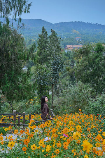 山花燦爛正當時,955階登頂江夏龍泉山 山花燦爛正當時,955階登頂江夏龍泉山