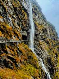 錯過等一年！成都周邊秋日彩林免費開放