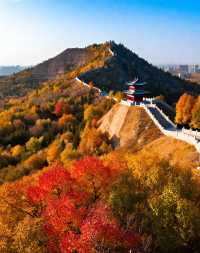 打卡唐風秋韻|邂逅城市邊的詩意與溫柔|收穫滿滿的治癒與快樂