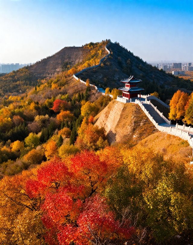 打卡唐風秋韻|邂逅城市邊的詩意與溫柔|收穫滿滿的治癒與快樂