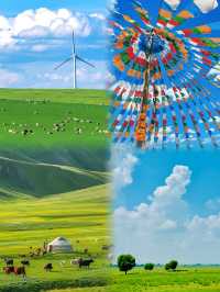 不回去了，我決定留在鄂爾多斯草原放羊了……— 治癒系草原攻略