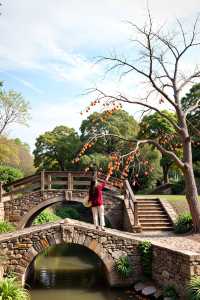 @閨密,呢個週末,我哋一齊去東爐村偷「小燈籠」啦!