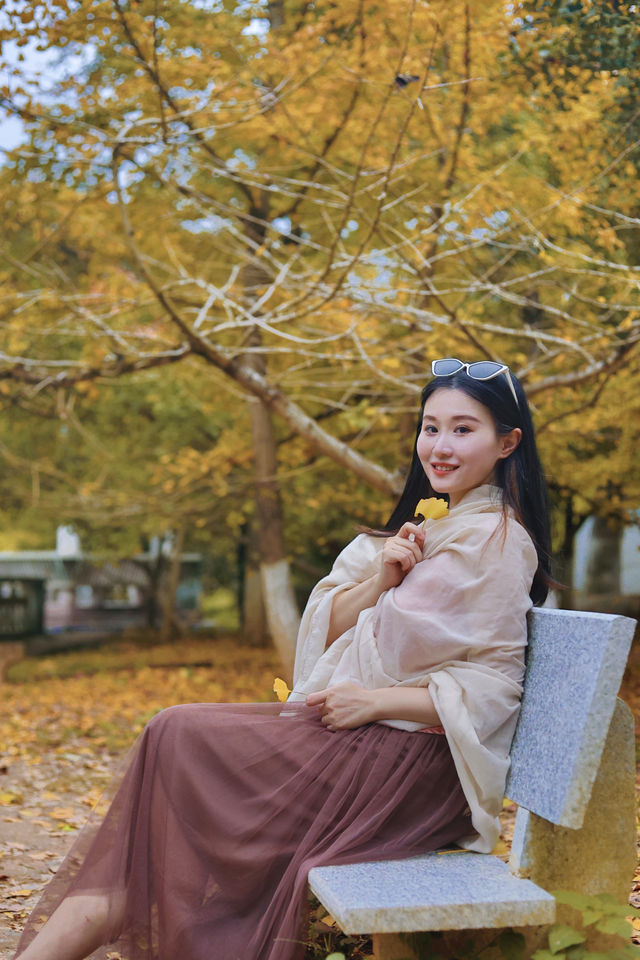 走進韶關帽子峰，彷彿踏入一幅金秋畫卷