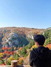 北京人絕不告訴你！私藏0元紅葉秘境曝光