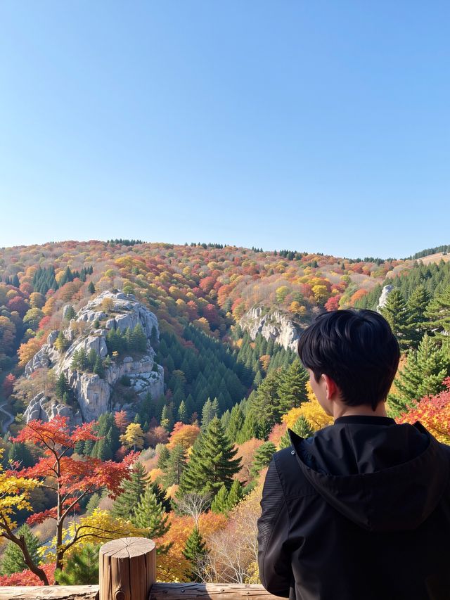 北京人絕不告訴你！私藏0元紅葉秘境曝光