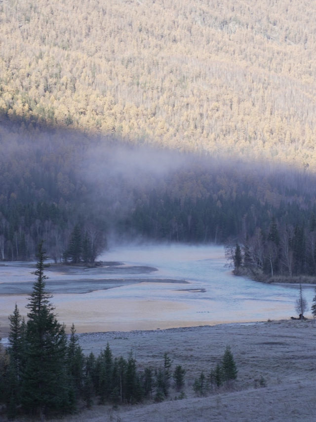 新疆喀納斯秋日童話遇見雪山松鼠的治癒時刻 新疆喀納斯秋日童話遇見雪山松鼠的治癒時刻