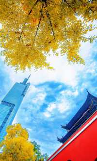 南京必打卡！紅牆銀杏出片神地，比故宮人少好看！