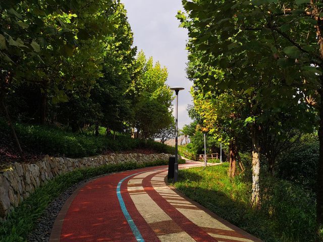 雨過天晴的自貢鳶山公園 雨過天晴的自貢鳶山公園