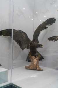 秋假反向遊 |麗水遂昌自駕兩天一夜小記