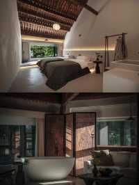 25℃的夏天！四明山雲自泊民宿藏進森林氧吧！