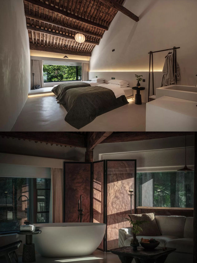 25℃的夏天！四明山雲自泊民宿藏進森林氧吧！