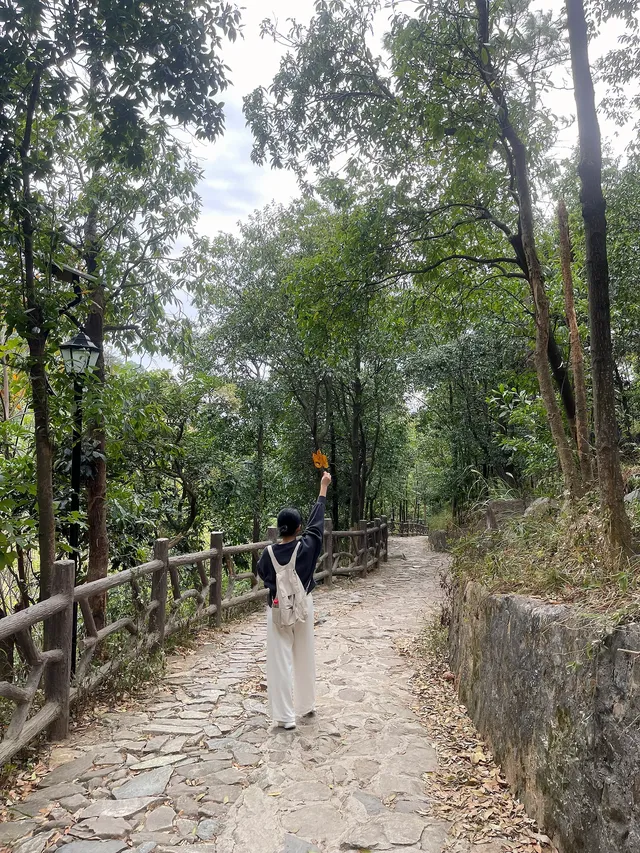 泉州好去處14/100｜新建空中步道路線