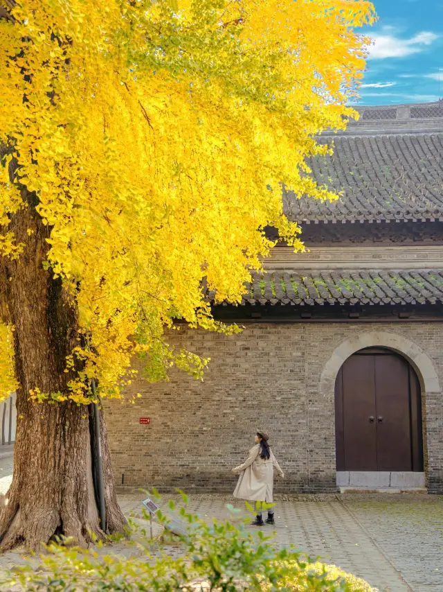 Don't just know about the fireworks in March, Yangzhou's autumn is stunningly beautiful