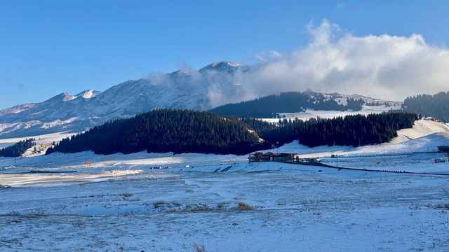 冰雪世界絕美藍冰