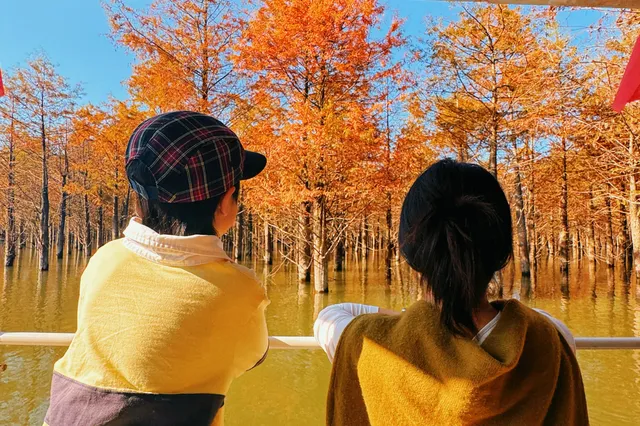 11.15皖南川藏線之落羽紅杉林 11.15皖南川藏線之落羽紅杉林