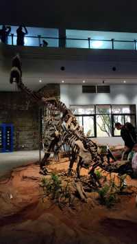 穿越兩億年的溫柔叩門聆聽時間破碎的聲音