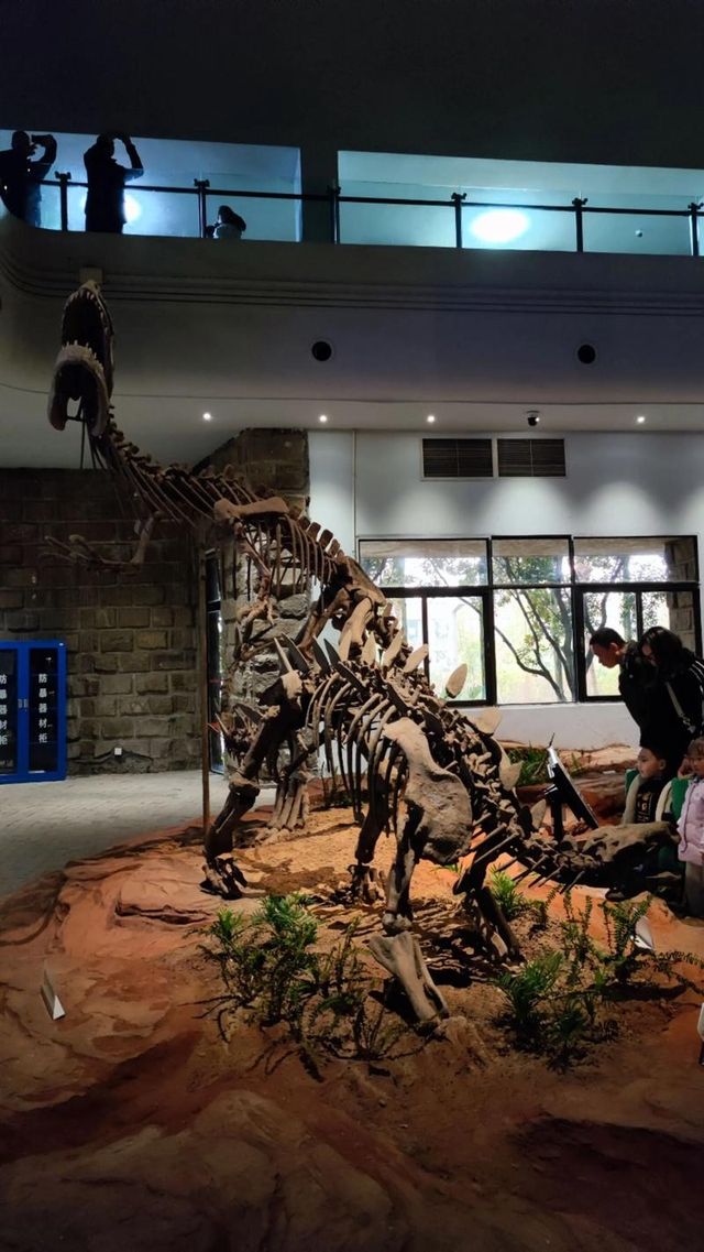 穿越兩億年的溫柔叩門聆聽時間破碎的聲音 穿越兩億年的溫柔叩門聆聽時間破碎的聲音