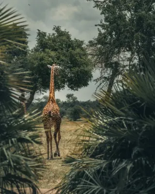 Tanzania is absolutely thrilling! Don’t miss these 9 experiences