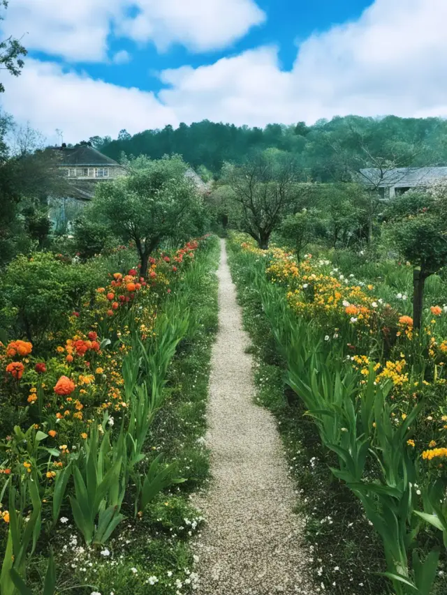 法國包車遊解鎖浪漫之都新體驗