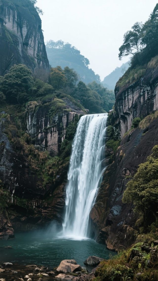 12月武夷山四天三晚，住進茶香雲海！