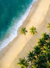 斯里蘭卡簽證延期7天,惡劣天氣受影響公民免罰