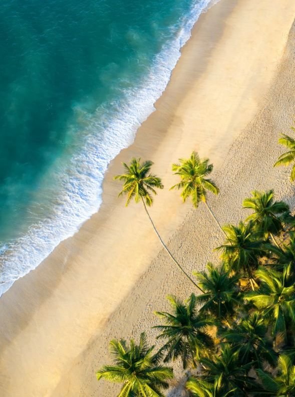 斯里蘭卡簽證延期7天,惡劣天氣受影響公民免罰 斯里蘭卡簽證延期7天,惡劣天氣受影響公民免罰