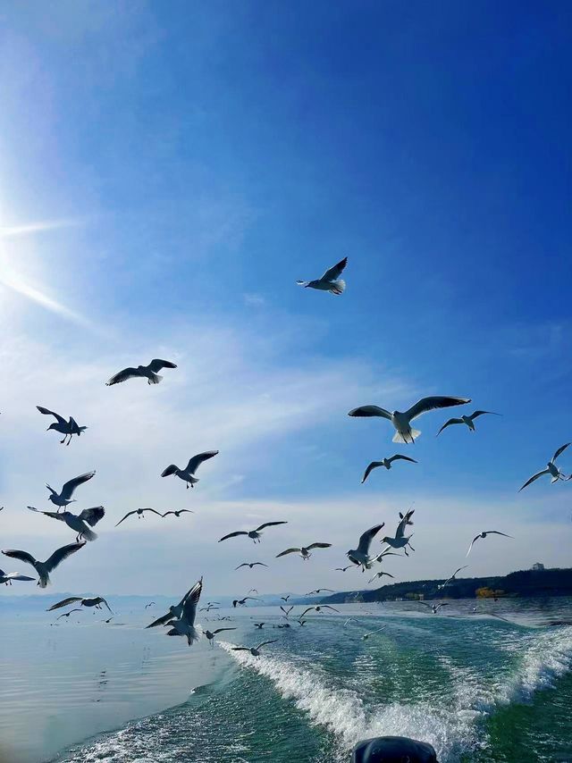 在陸渾,打撈一場盛大的日落 在陸渾,打撈一場盛大的日落