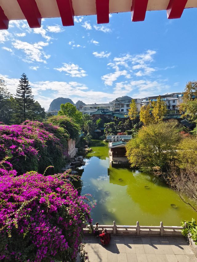 秋天的虞山公園真的太美了！