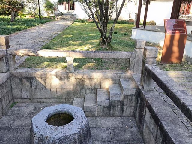 治平寺裡一片金黃