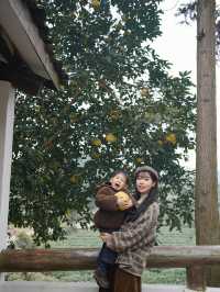 雅安遛娃 |包個院子煮茶烤紅薯泡私湯