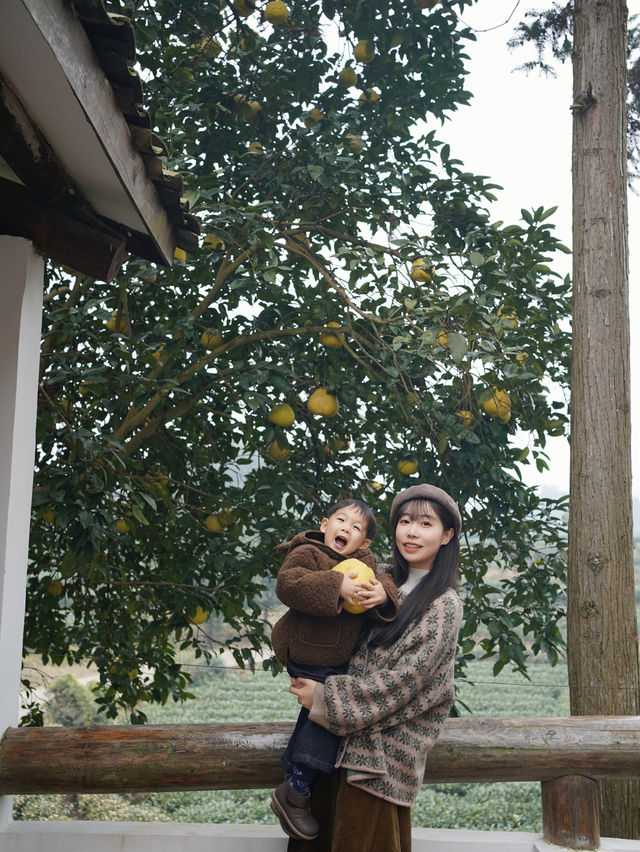 雅安遛娃 |包個院子煮茶烤紅薯泡私湯 雅安遛娃 |包個院子煮茶烤紅薯泡私湯