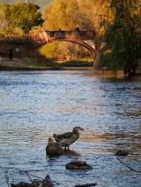 茶馬古道上的人間煙火 沙溪&劍川治癒系小鎮遊