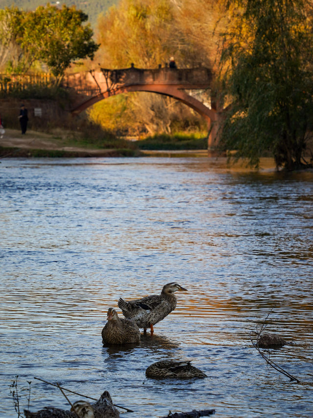 茶馬古道上的人間煙火 沙溪&劍川治癒系小鎮遊 茶馬古道上的人間煙火 沙溪&劍川治癒系小鎮遊