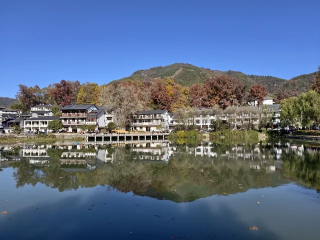 今日實況,指南村的楓葉紅了 今日實況,指南村的楓葉紅了