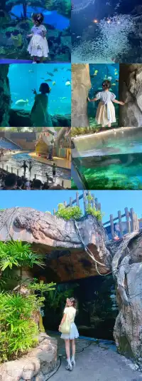 懶人福音！珠海長隆輕鬆兩日遊攻略路線