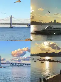 大連|1-2月冬天來大連真的很香