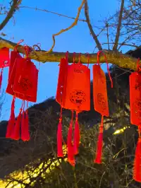 12.2老君山實測,金頂真的巨冷