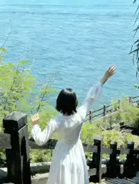 涠洲島三日遊 追鯨吃海鮮趕海坐遊艇